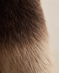 Oversized Gradient Faux Fur Coat — ombre fur close-up