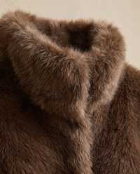 Short Faux Fur Coat with Stand Collar — stand collar close-up