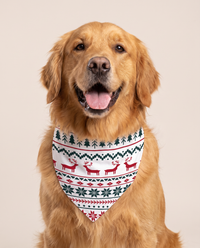 Family Christmas Pajamas, Reindeer & Tree Fair Isle — matching dog bandana, studio