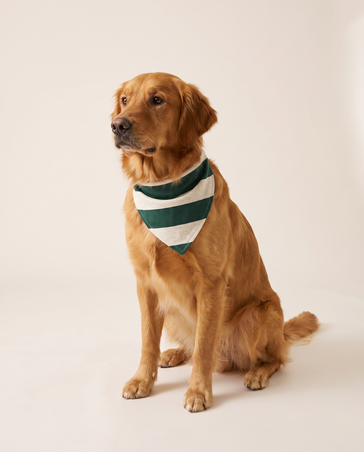 Family Christmas Pajamas, Green & Cream Stripe — matching pet bandana, studio