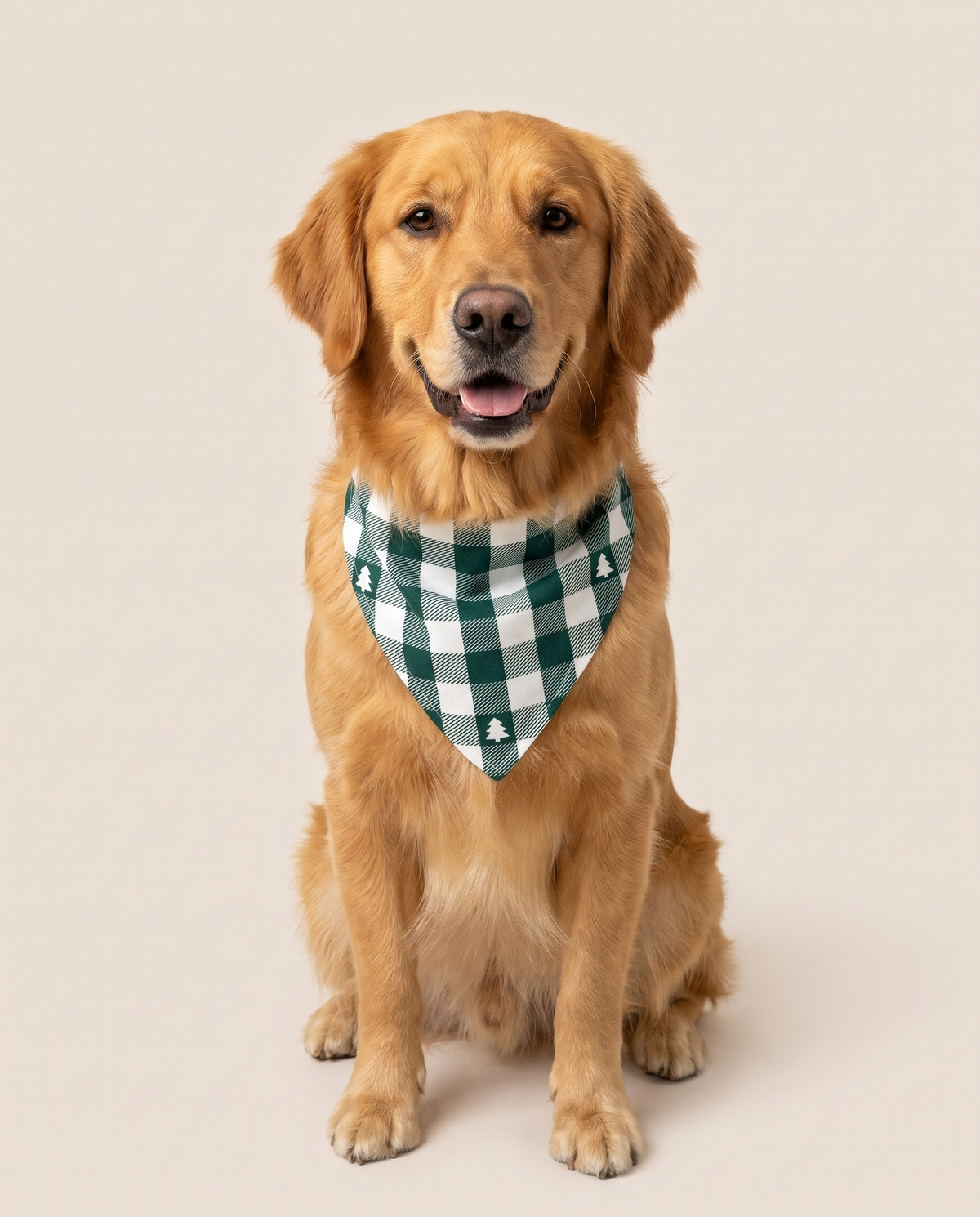 Matching Family Christmas Pajamas, Green Buffalo Plaid — matching pet bandana, studio